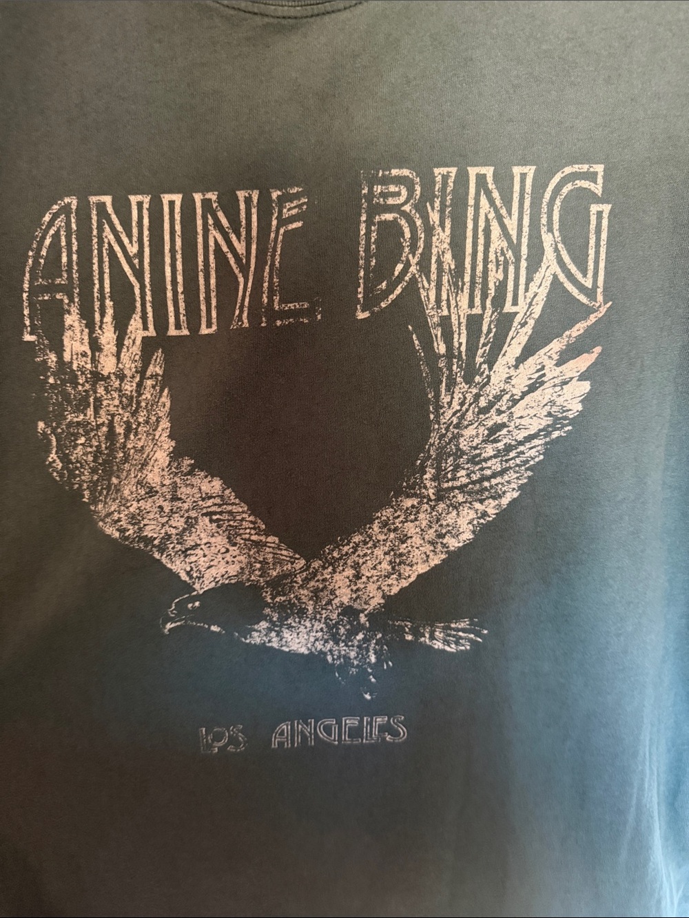 ANINE BING Men's Teal Graphic Eagle Tee - Picture 3 of 7